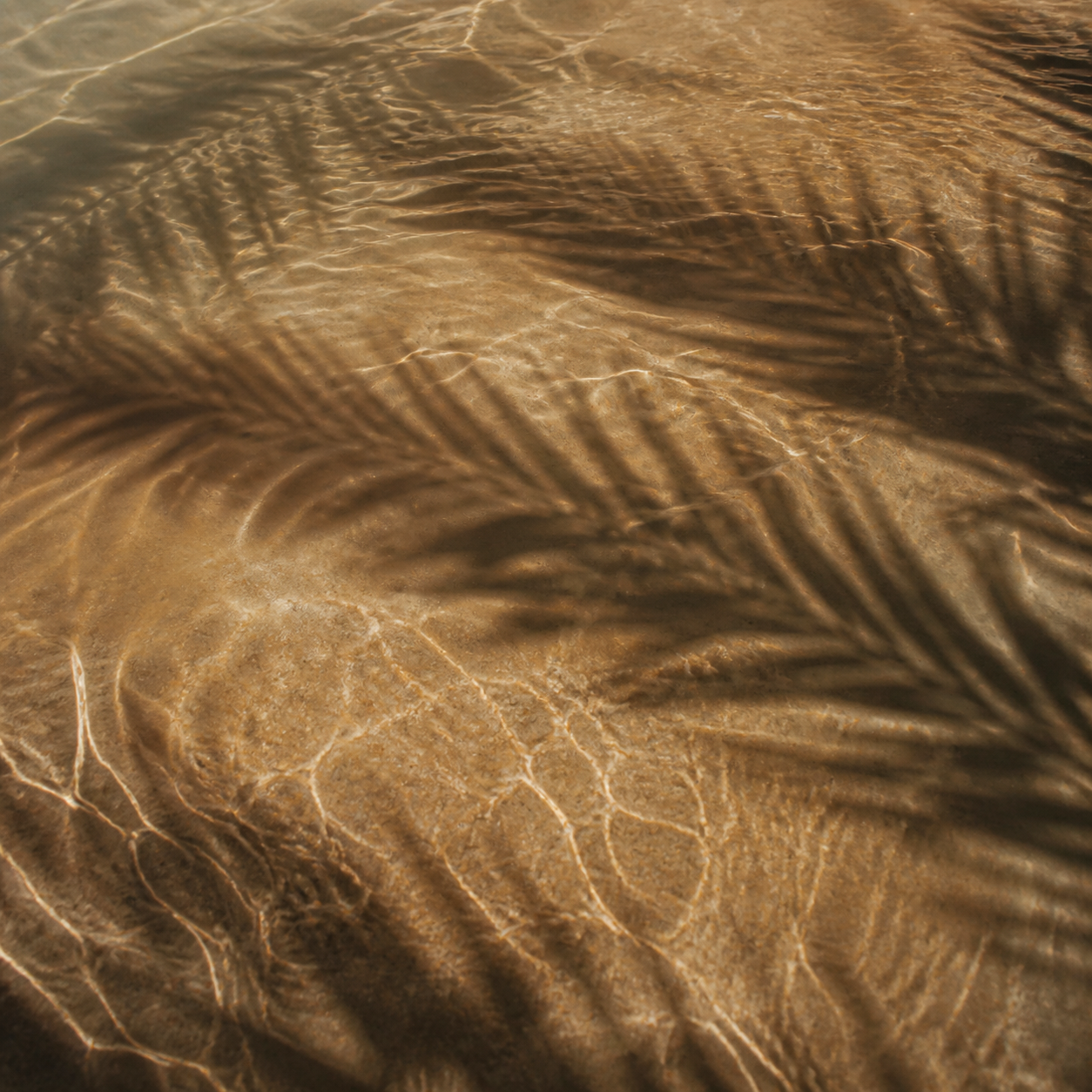 DAHR campaign study: Water Memory